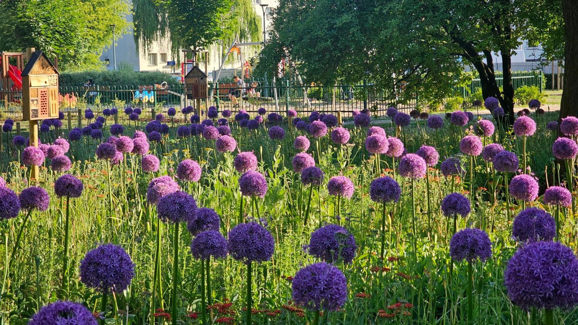 Studio 5 Min Do Centrum Koneser, Blisko Dworzec Wschodni By VisitVarşova Dış mekan fotoğraf